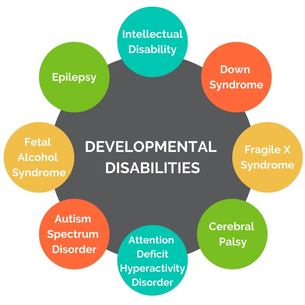 Infographic showing developmental disabilities served including Intellectual Disability, Down Syndrome, Fragile X Syndrome, Cerebral Palsy, Attention Deficit Hyperactivity Disorder, Autism Spectrum Disorder, Fetal Alcohol Syndrome, and Epilepsy